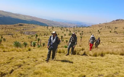 9 Days Simien Mountains Trek & Ras Dejen Summit Adventure