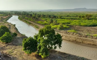 6 Days Eastern Ethiopia, Awash National Park & Harar Tour