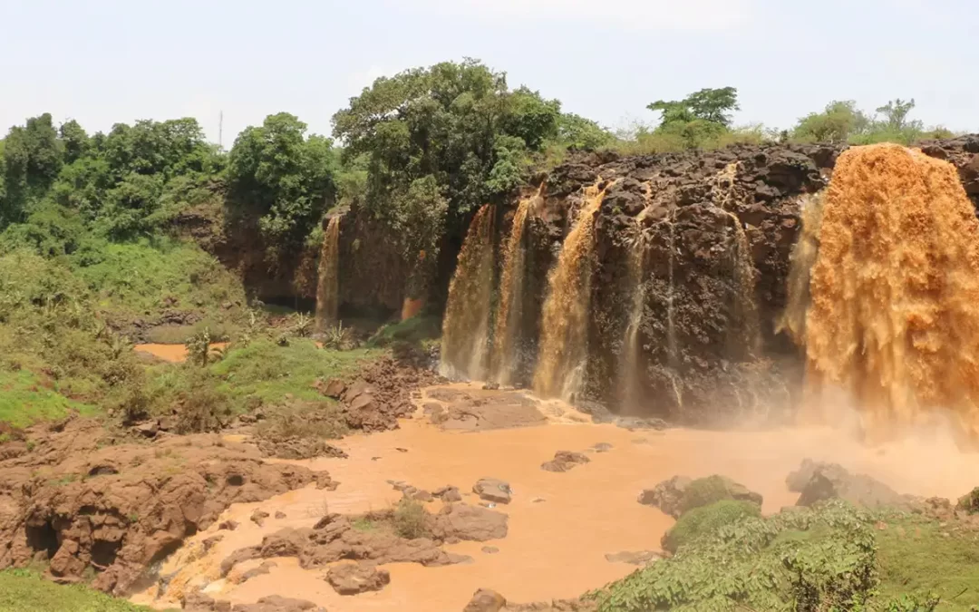Bahir Dar, Blue Nile Falls & Lake Tana City Tour