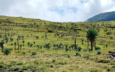 4 Days Simien Mountains Trekking & Hiking Holiday