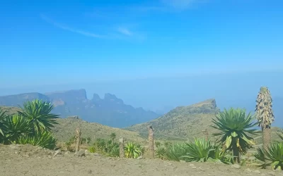 Why Travel to the Simien Mountains?
