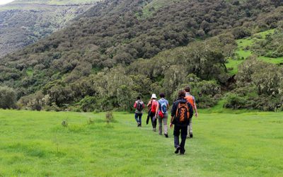 Simien Mountains Trekking including Axum and Gonder – 11 Days