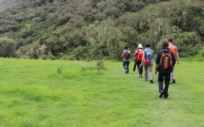 11 Days Simien Mountains Trekking, Gondar & Aksum Tour