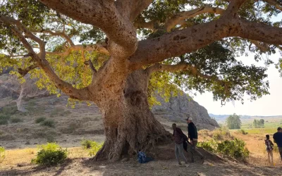Why Visit Ethiopia?